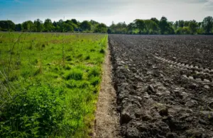 Permitted Development Rights on Green Belt Land