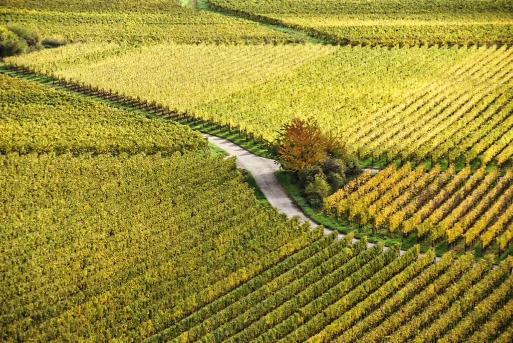 Agricultural Land Planning Permission