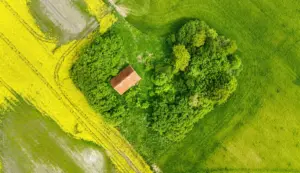 new build planning permission